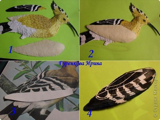  �������, �����, �������, ������-����� ��������������: ���� ������. ���� 17