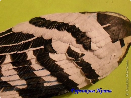  �������, �����, �������, ������-����� ��������������: ���� ������. ���� 22