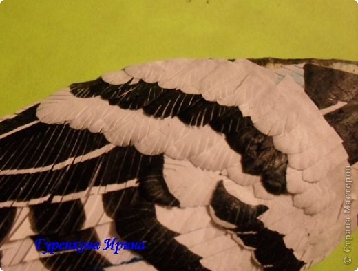  �������, �����, �������, ������-����� ��������������: ���� ������. ���� 23