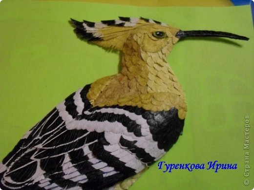  �������, �����, �������, ������-����� ��������������: ���� ������. ���� 26