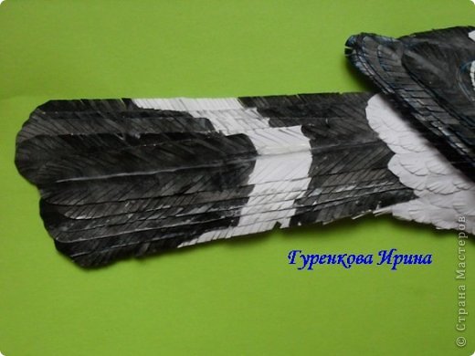  �������, �����, �������, ������-����� ��������������: ���� ������. ���� 28