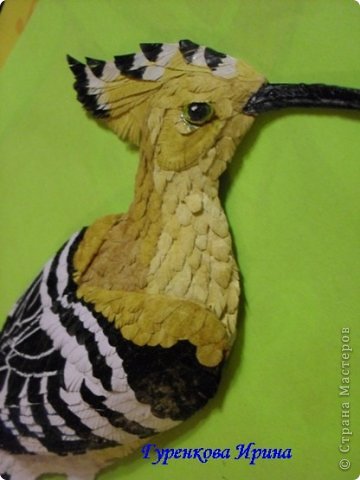  �������, �����, �������, ������-����� ��������������: ���� ������. ���� 29