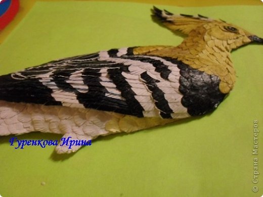  �������, �����, �������, ������-����� ��������������: ���� ������. ���� 30