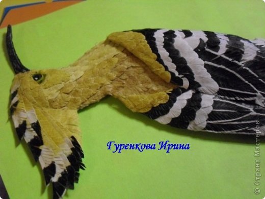  �������, �����, �������, ������-����� ��������������: ���� ������. ���� 31