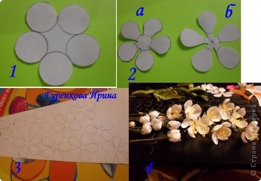  �������, �����, �������, ������-����� ��������������: ���� ������. ���� 36