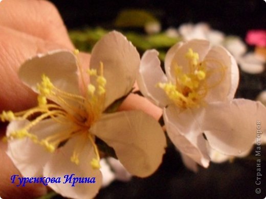  �������, �����, �������, ������-����� ��������������: ���� ������. ���� 37