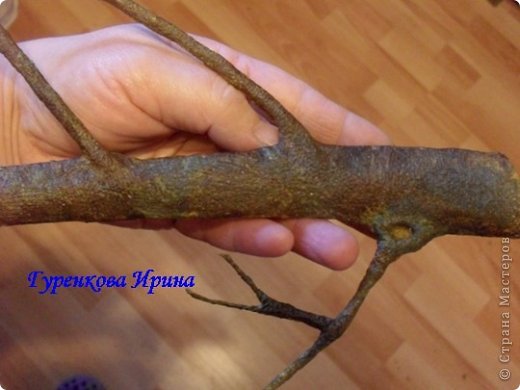  �������, �����, �������, ������-����� ��������������: ���� ������. ���� 38