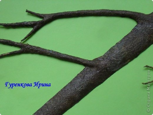  �������, �����, �������, ������-����� ��������������: ���� ������. ���� 40