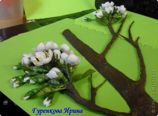  �������, �����, �������, ������-����� ��������������: ���� ������. ���� 43