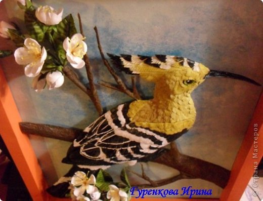  �������, �����, �������, ������-����� ��������������: ���� ������. ���� 50