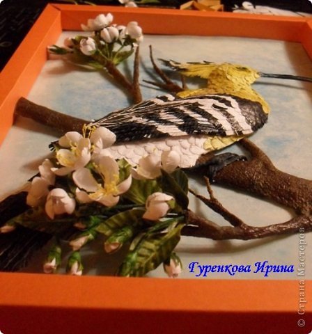  �������, �����, �������, ������-����� ��������������: ���� ������. ���� 51