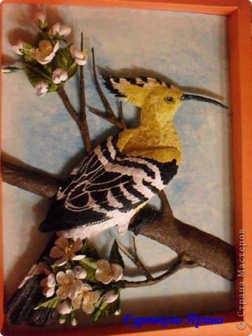  �������, �����, �������, ������-����� ��������������: ���� ������. ���� 52