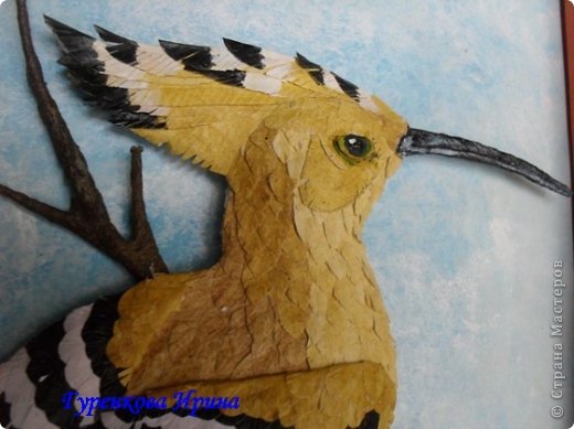  �������, �����, �������, ������-����� ��������������: ���� ������. ���� 55