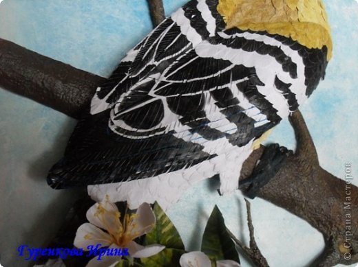  �������, �����, �������, ������-����� ��������������: ���� ������. ���� 56