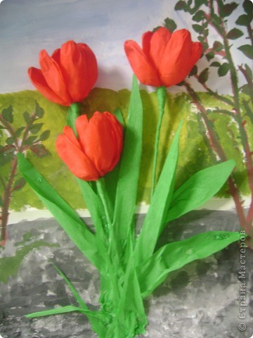 Тюльпаны. Фото 1