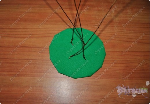 Мастер-класс, Поздравление, : Сладкий подсолнух + МК Бумага гофрированная, Картон, Проволока, Продукты пищевые 8 марта, День рождения, День учителя, Начало учебного года. Фото 7 Мастер-класс, Поздравление, : Сладкий подсолнух + МК Бумага гофрированная, Картон, Проволока, Продукты пищевые 8 марта, День рождения, День учителя, Начало учебного года. Фото 7
