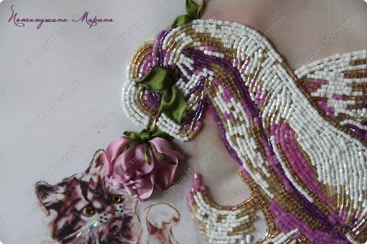  �������, ����� �������: �������� �����, �����. ���� 5