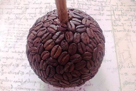 Топиарий из кофе пошаговая инструкция фото