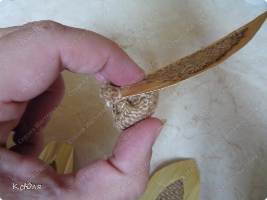 ������-�����, �������: �����. ���������� �����. �� ���������, �������, ������. ���� 11