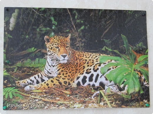 Мастер-класс Мозаика: МК - Создаем из пазлов картину Бумага Отдых. Фото 33