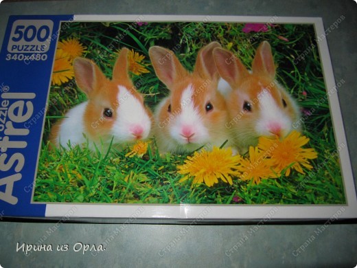 Мастер-класс Мозаика: МК - Создаем из пазлов картину Бумага Отдых. Фото 1