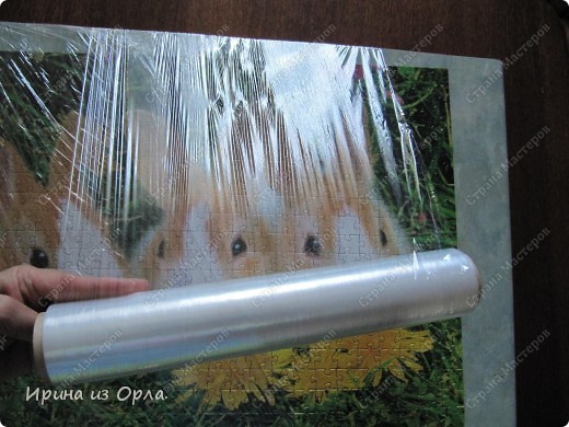 Мастер-класс Мозаика: МК - Создаем из пазлов картину Бумага Отдых. Фото 10