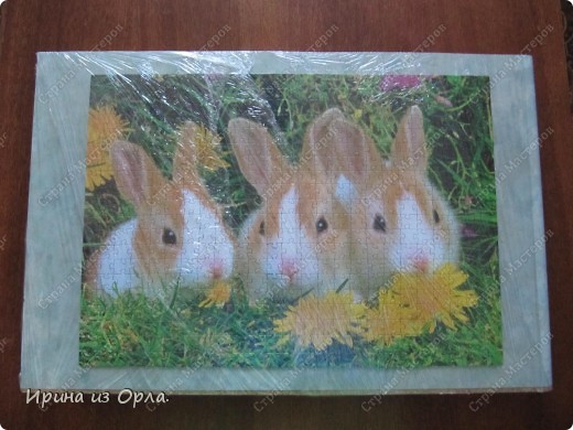 Мастер-класс Мозаика: МК - Создаем из пазлов картину Бумага Отдых. Фото 11