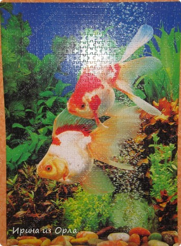 Мастер-класс Мозаика: МК - Создаем из пазлов картину Бумага Отдых. Фото 35