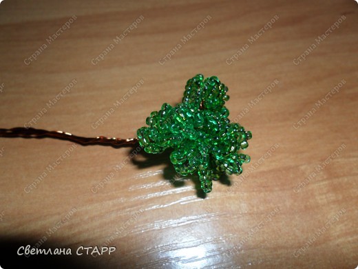 sam_0209.jpg