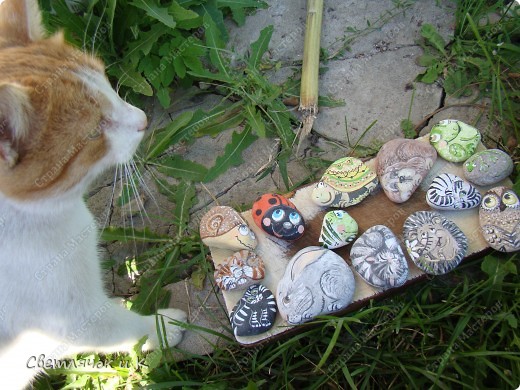  ����� ��������� �������: �������-�������� �������� ��������� �����. ���� 7