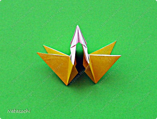  ������-�����, �������, ������� ��������: �� �������� ������ Doug Jones ������. ���� 20