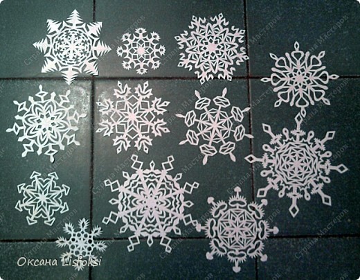  ������-�����, �������, ������� ���������: �������� ������ ����� ���. ���� 2