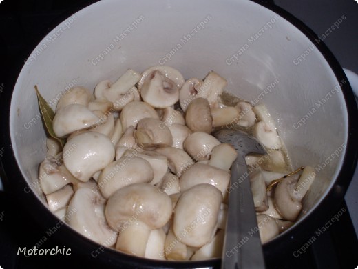  ���������, ������-�����: ������������ ����������: ������ � ������ �������� �������. ���� 7