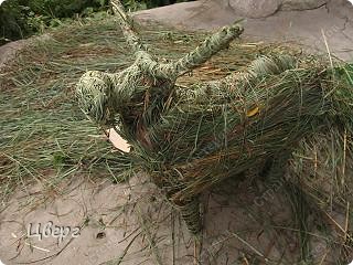 Мастер-класс Моделирование: Коровка из сена или бычок соломенный Материал природный Отдых. Фото 11 Мастер-класс Моделирование: Коровка из сена или бычок соломенный Материал природный Отдых. Фото 11
