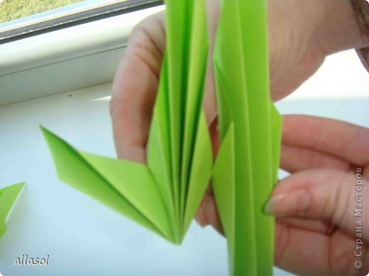 Мастер-класс,  Оригами, : Гофрированный листок клена. Бумага Деньучителя, . Фото 11