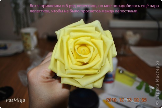 Мастер-класс по лепке розы.   Dsc_0771