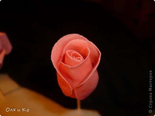 Мастер-класс,  Лепка, : Лепим соленую розу. Продолжение Тесто соленое 8 марта, . Фото 15