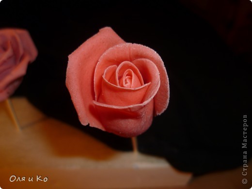 Мастер-класс,  Лепка, : Лепим соленую розу. Продолжение Тесто соленое 8 марта, . Фото 18