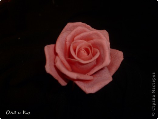 Мастер-класс,  Лепка, : Лепим соленую розу. Продолжение Тесто соленое 8 марта, . Фото 33