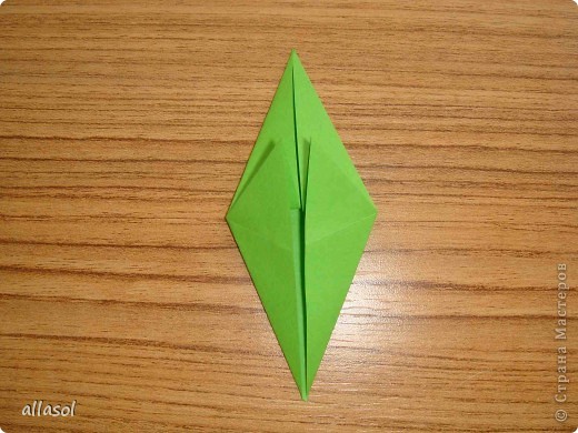  ������-�����, �������, ������� ��������: ��������� � ������ �������� ������ ���������� ����, ���� ��������, ���� �����. ���� 3