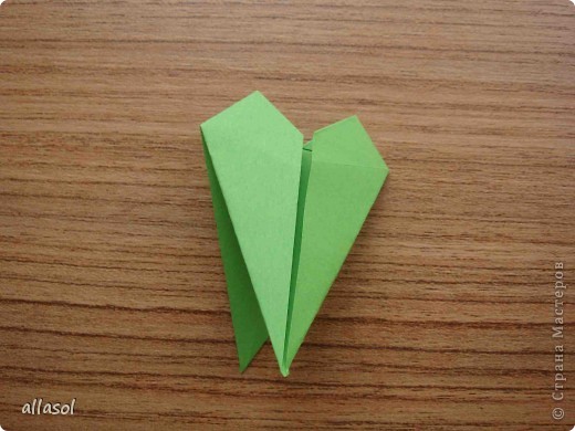  ������-�����, �������, ������� ��������: ��������� � ������ �������� ������ ���������� ����, ���� ��������, ���� �����. ���� 6