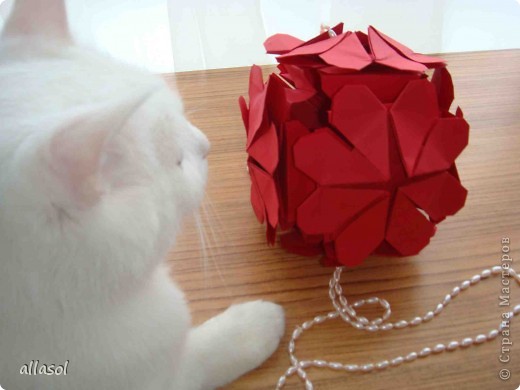  ������-�����, �������, ������� ��������: ��������� � ������ �������� ������ ���������� ����, ���� ��������, ���� �����. ���� 26