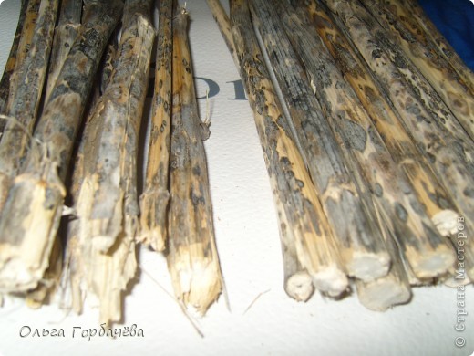  �������, �����, �������, ������-�����, ���������� �������������: ������� �� ������(����������) �������� ���������, ������, �����, ������. ���� 8