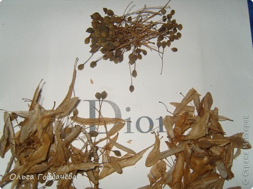  �������, �����, �������, ������-�����, ���������� �������������: ������� �� ������(����������) �������� ���������, ������, �����, ������. ���� 20