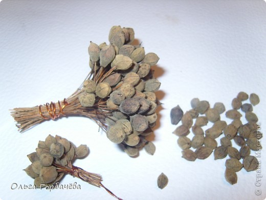  �������, �����, �������, ������-�����, ���������� �������������: ������� �� ������(����������) �������� ���������, ������, �����, ������. ���� 21