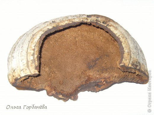  �������, �����, �������, ������-�����, ���������� �������������: ������� �� ������(����������) �������� ���������, ������, �����, ������. ���� 16