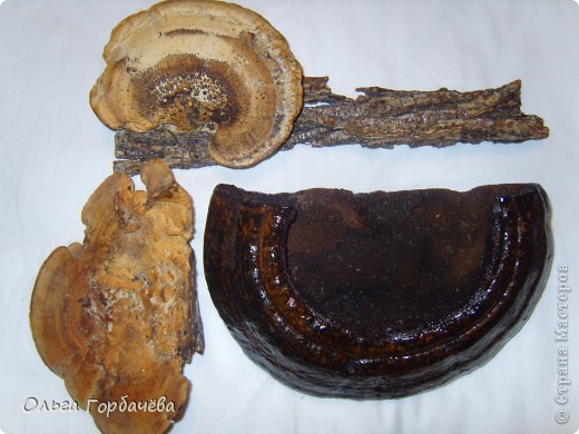  �������, �����, �������, ������-�����, ���������� �������������: ������� �� ������(����������) �������� ���������, ������, �����, ������. ���� 17