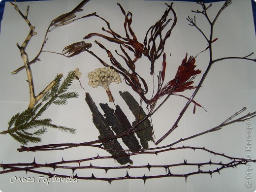  �������, �����, �������, ������-�����, ���������� �������������: ������� �� ������(����������) �������� ���������, ������, �����, ������. ���� 23