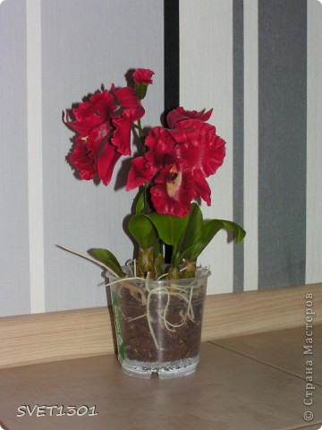  Мастер-класс Лепка: МК по лепке орхидеи. Фарфор холодный. Фото 1