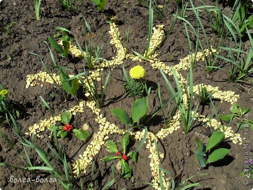 : ������ �������� ������, �������� ��������. ���� 10